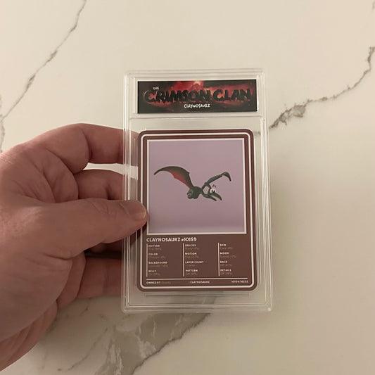 Physical NFT Common Trading Card Slab